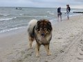 filou (16)